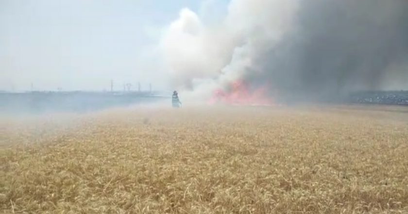 Zeci de incendii de vegetație în luna iulie, în județul  Galați.  Au ars 600 de hectare de vegetaţie uscată, mărăciniș, lăstăriș și cereale