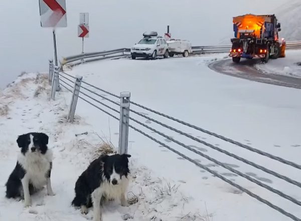 ANM anunță temperaturi anormale de Crăciun și Revelion