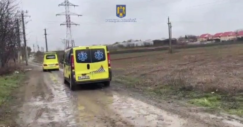 Doi oameni aproape mâncați de vii în județul Galați.  Câinii au tăbărât pe ei