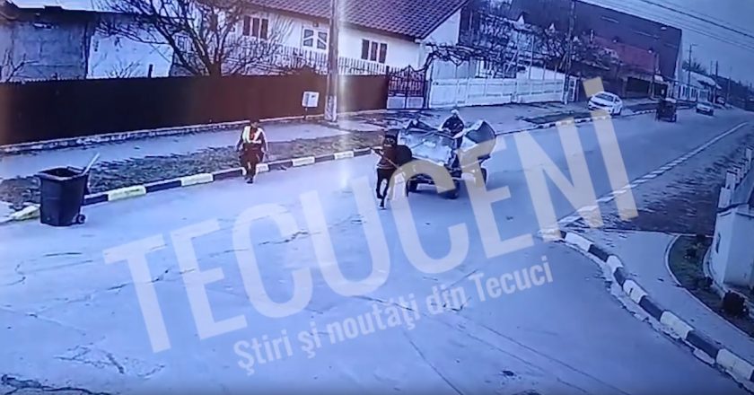 VIDEO. Containere de gunoi furate în plină zi și încărcate în două căruțe