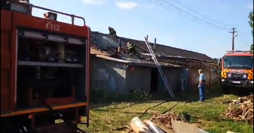 VIDEO. Incendiu la o fabrică de peleți în apropiere de Tecuci