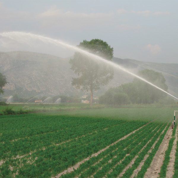 Apă gratuită și energie mai ieftină pentru fermierii gălățeni